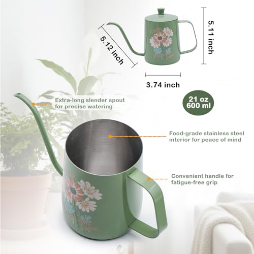 Lot de 2 vaporisateurs d'arrosage