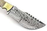 Poshland TR-177 Custom Handmade Damascus Steel 10 Inches Tracker Knife (Bone)