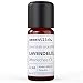 Produktbild Lavendelöl - reines ätherisches Öl von wesentlich. - 100% naturrein aus der Glasflasche (10ml)