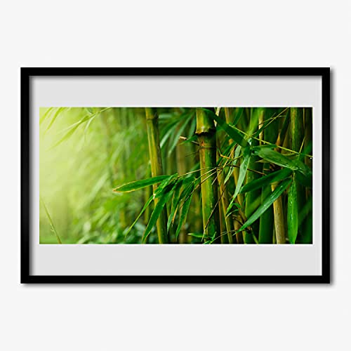 Affiche encadrée plante de tige de bambou pour salon et chambre zen 70x50 cm