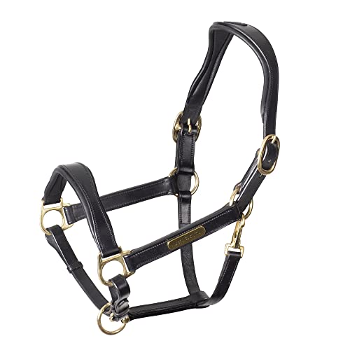 Shires Velociti Rapida Cushioned Leather Halter (Black, Full)