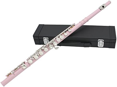 Amazon | 木管楽器 フルート 16穴 Cキー 7色選択可能 演奏 セット  
