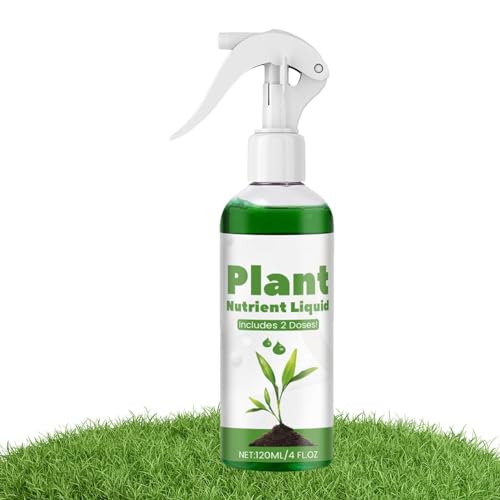 rasenspray rasenfarbe farbe rasen farbe rasen farbe grün reparatur flecken für hunde rasenspray farbe für grün fleckenentferner tiere domes