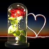 JOBOSI Red Rose, Rose Night Light, Mother Gifts, Gift for Mom, Gifts for Her, Gifts for Women, Gift for Girlfriend, Gift for Wife, Birthday Gifts, Valentine's Day Gift