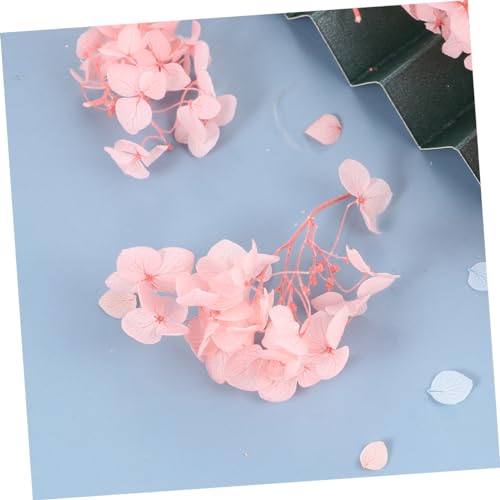 Pétalos secos naturales Hydrangea rosa para manualidades miniatura 6