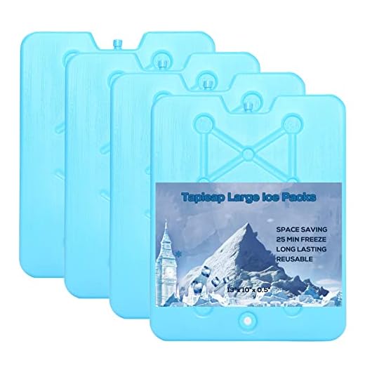 Tapleap Large Ice Packs for Coolers - Freezer Packs for Camping- Long Lasting Reusable Dry Ice Blocks, 13 x 10 x 0.5 inch, Quick Freeze - Set of 4