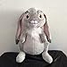 Ruiodr Sofia La Première Princesse Douce Princesse Sofia Clover Lapin Bande Dessinée en Peluche Jouets 23Cm pour La Collection