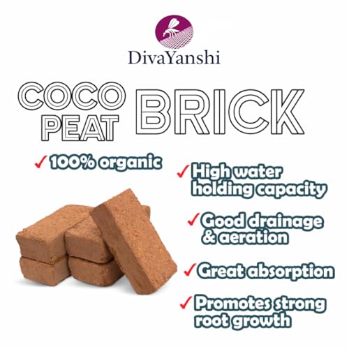 Image of Divayanshi Cocopeat Block for Plants & Gardening | 100% Natural Organic Growing Medium | High Water Retention Soil Conditioner for Home Garden, Nursery & Pots- 2kg