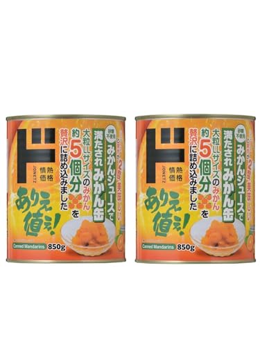 y܂ƂߔzhLz[e 嗱݂ʁi݂W[Xj850g×2ʃZbg