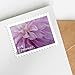 Dahlias 2025 (Book of 20) First-Class Mail Forever Postage Stamps
