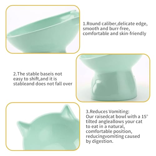 Katzennapf Erhöht Fressnapf Katze mit 15° Neigung Design,Futternapf Katze,Katzenfutternapf für Futter und Wasser,perfekt für Haustiere Katzen und Welpen(Grün, Einfarbig)