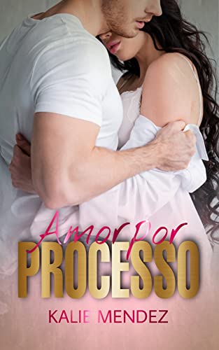 Amor por Processo: Livro único