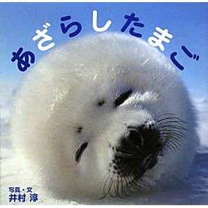 あざらしたまご