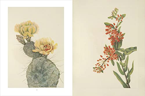 Wild Flowers of North America: Botanical Illustrations by Mary Vaux Walcott