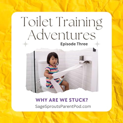 Toilet Training Adventures: Why Are We Stuck?