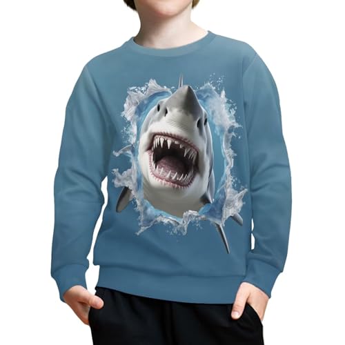 Girls Boys Sweatshirt Fall Outfit Kids Comfy Sweaters Pullover Tops 6-14 Years Old