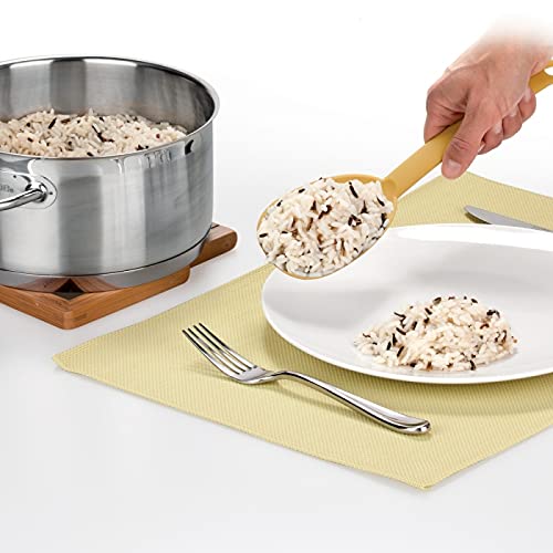 Tescoma Space Tone Rice Spoon