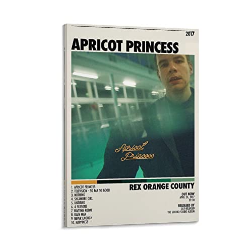 Toile Rex Orange County Abricot Princess 3 pour une ambiance bureau ou chambre ado