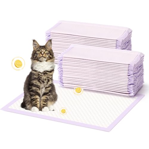 Breeze Cat Pee Pads for Litter Box: Super Absorbent 6-Layer Pads - Pack of 40