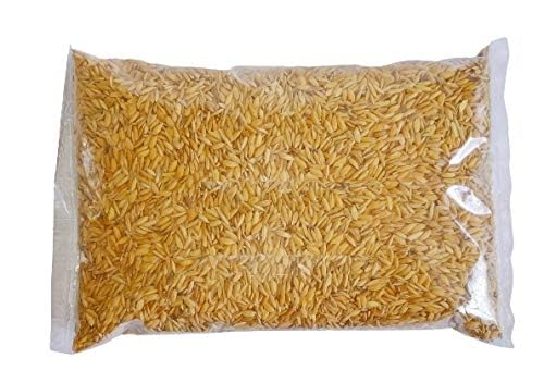 Birds Food Premium Rice Paddy Seeds, for All Types of Birds, Vadlu for Birds All Life Stages (1 Kilogram) (B0D91RPTNX) Amazon Price History, Amazon Price Tracker