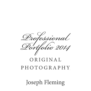 Paperback Professional Portfolio 2014: original photography Book