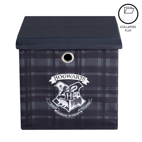 Cube de rangement pliable Harry Potter de 25 cm avec un couvercle - 5