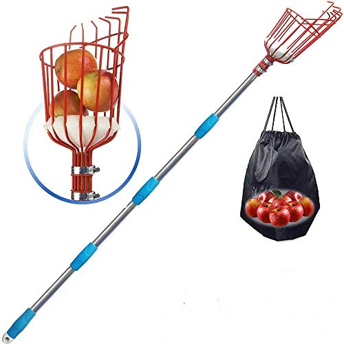Sunton Fruit Picker Tool, 5 Ft Stainless Steel Adjustable Fruit Picker with Bracket Sponge Mat, Suit for Guava Mango Honeycrisp Apple Kumquat Orange Cherry Blueberry Plum Picking (13FT)