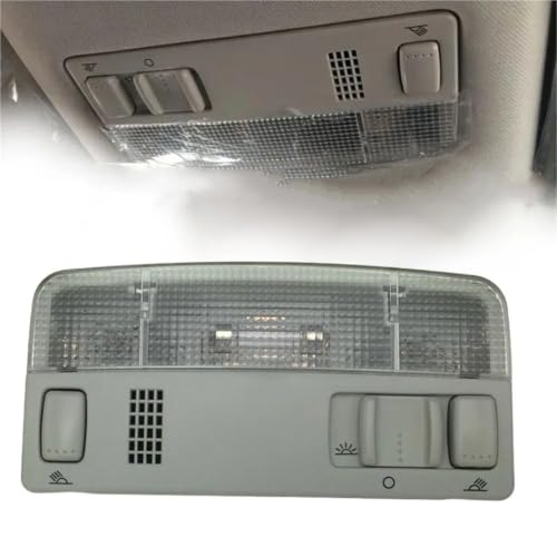 Luz interior delantera para viajes nocturnos en coche Polo Touran y Caddy 6