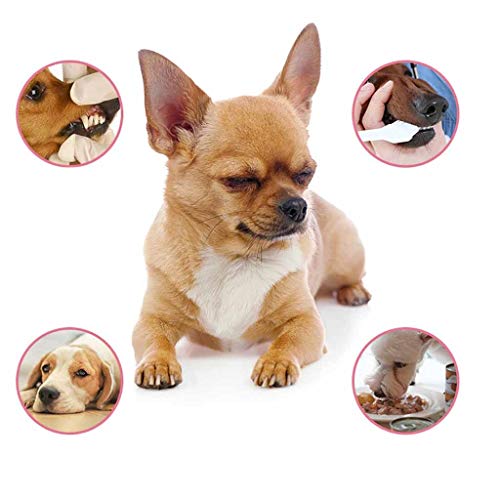 Food Grade Pet Dental Cleaning Solution Mouth Gums Health Care Spray Oral Rinse, Wesracia Dog Cat Bad Breath Freshener Plaque Tartar Remover Tooth Cleaner, 2oz
