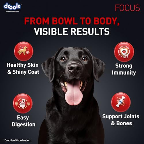Image of Drools Focus Premium Adult Dry Dog Food 1.2kg Pack | Chicken Flavour | Growth & Intelligence | Digestive Health | Healthy Skin & Coat | Improves Immunity