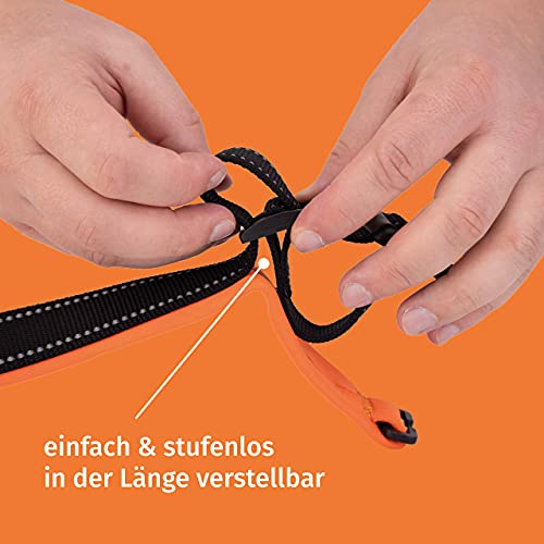 Floxik Hundehalsband verstellbar Größe S | Weiches Neopren Halsband für den Hund & Welpen in verschiedenen Größen inkl. Zugentlastung
