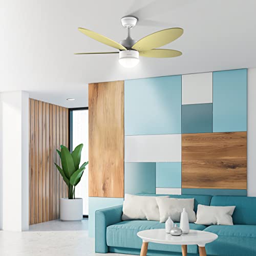 Ventilateur de Plafond Cecotec EnergySilence Aero 4260 – 40W, Moteur DC, 6 Vitesses, Télécommande - vue 8