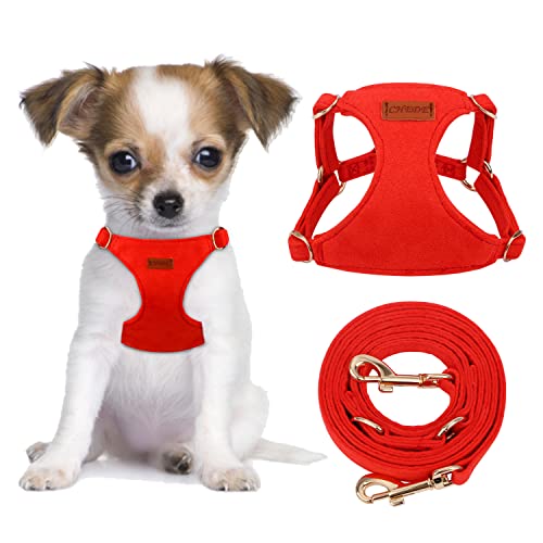 Best Harness for Toy Dogs Choosing the Perfect Fit for Your Petite Pup