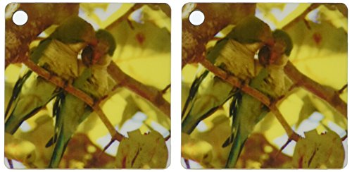 3dRose 2 Lovey Dovey Parakeets In Tree - Key Chains, 2.25 x 4.5 inches, set of 2 (kc_44831_1)