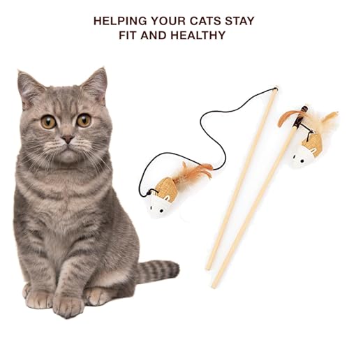 Image of Cat and Dog Playing Stick |Durable Dog and cat Teaser Playing Stick with Interactive Feather| Non- Slip and Non Toxic Durable Teasing Wand Toy with Rope (Multi)