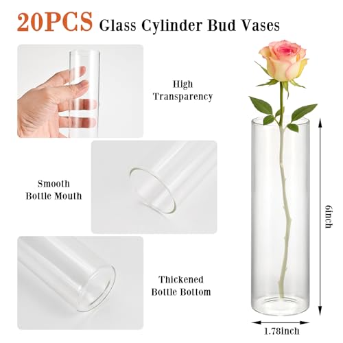 20 Pack 5.9" Tall x 1.8" Diameter Clear Glass Cylinder Vases - Multi-Use Flower Vase, Hurricane & Floating Candle Holders for Wedding Centerpieces, Home Decor, Table Displays (20) - Image 4