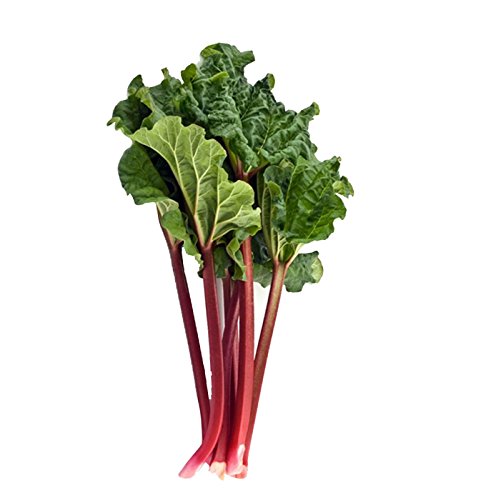 See full amazon price history chart for Futaba Rhubarb Victoria Vegetable Seeds - 100 Pcs Futaba Rhubarb Victoria Vegetable Seeds - 100 Pcs (B07F11V3FS) Amazon Price History, Amazon Price Tracker
