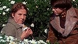 Harold et Maude