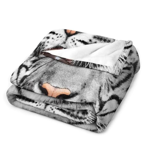 Couverture de canapé polaire mignon lit et salon cosy