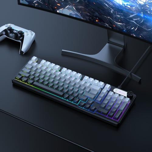 Teclado Gaming G98 Conectividad USB-C RGB miniatura 7