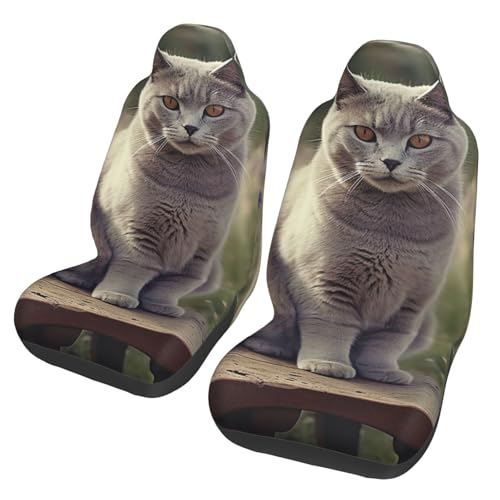 Housses de siège de voiture respirantes chat gris en fleurs pour un intérieur de voiture chaleureux