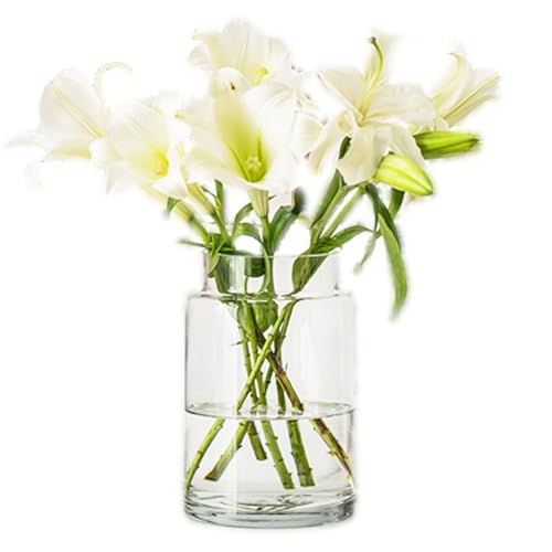 Image of Flower Vases for Centerpieces Innjoii Glass - Large Thicker Clear Glass Vases Wide Big Vintage Modern Mouth Vase Giant Home Decor, Bouquet Modern for Wedding Table, 15(W)*23cm(H)