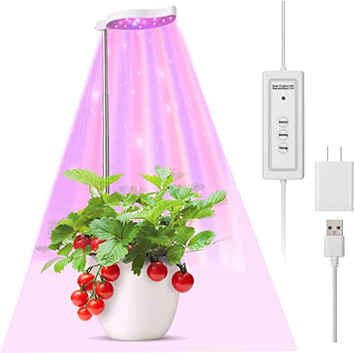 DREAMVAN Grow Lights for Indoor Plants, Full Spectrum Height Adjustable Growing Lamp with 3 Color Conversion, 5-Level Dimmable Brightness, Auto On Off Timing (3/6/12H) Ideal for Small Plants