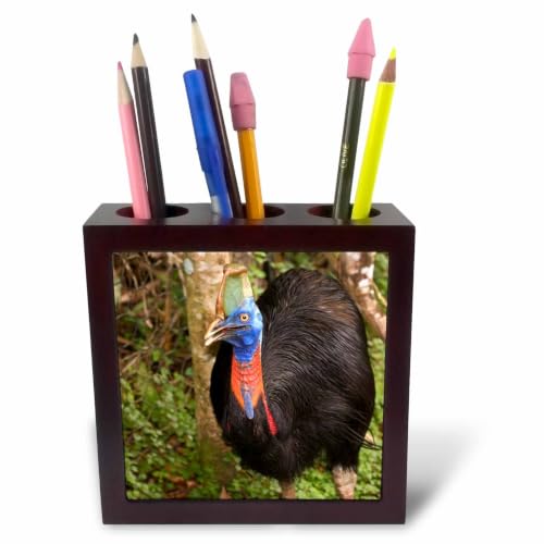 3dRose Papua New Guinea, Lae. Southern Cassowary bird - OC12 BFR0008 - Bernard Friel 5 inch tile pen holder