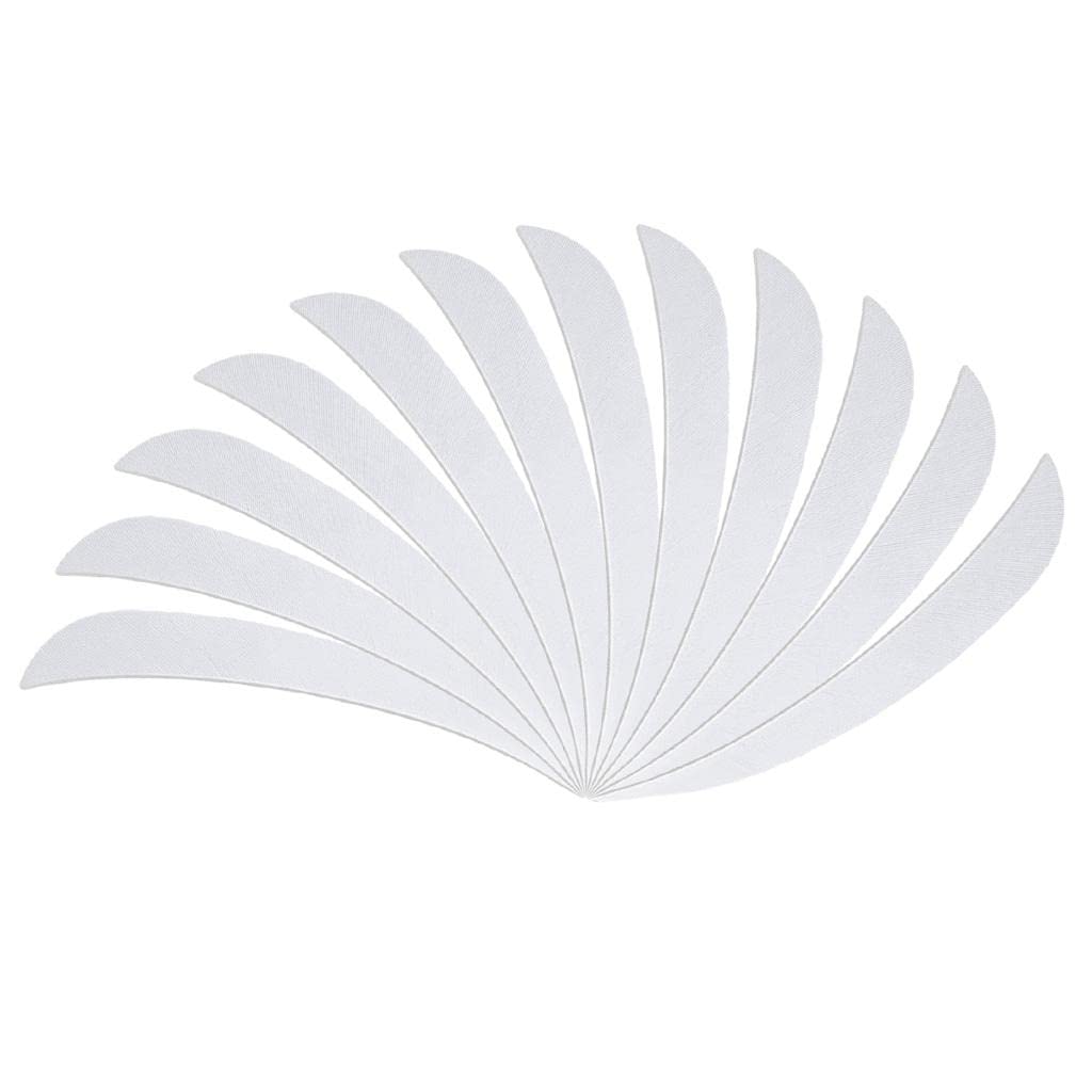 Wowobjects® 12 Pieces Archery Arrow Feather Fletching Right Wing Fletches 4 Inch White|Arrow Feather |Right Wing |Archery |Turkey Feather|Feathers |Fletchings Vanes |Bounting Jig