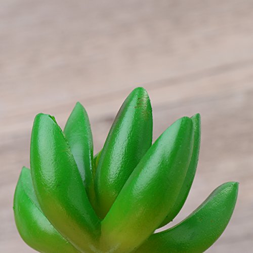 VORCOOL, 4 piante artificiali, piante grasse con