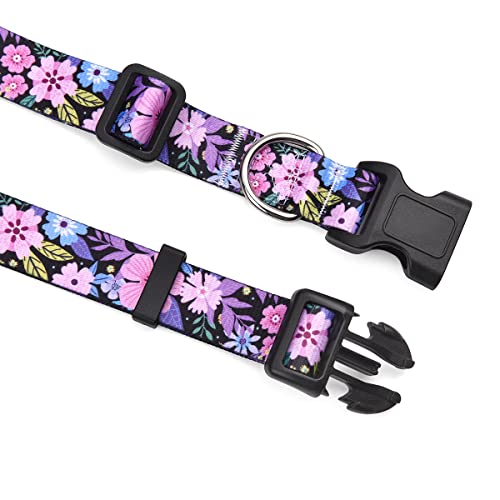 Mihqy USPT48-100-385 Dog Collar And Leash Set thumb #2
