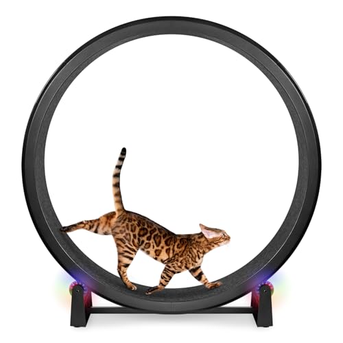 Image of One Fast Cat - Cat Exercise Wheel - Gen. 7 - Safe 48 inch Diameter - Made in The USA - Black Wheel with Black Felt Traction Pads and Light-Up LED Inline Wheels