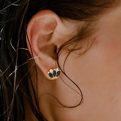 FETTERO Stud Earrings for Women - 14K Gold Plated CZ Hypoallergenic Earrings Studs Dainty Black CZ Leaf Gold Earrings for Women Trendy Statement Jewelry