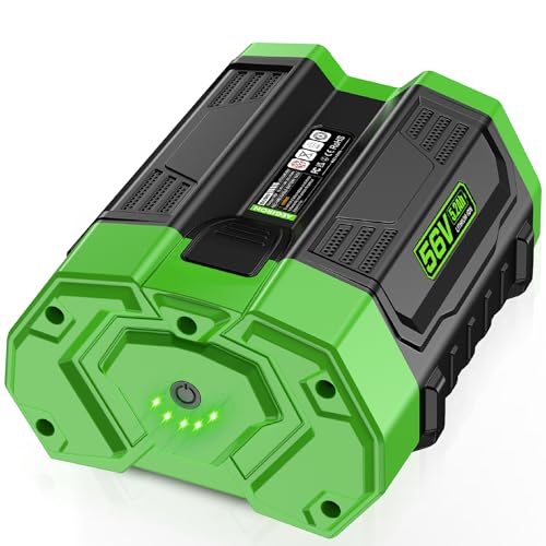 Aegiron 56V 5.2Ah Replacement Battery